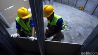 Tidak hanya memberikan perlindungan yang handal dan tersertifikasi terhadap sinar-X namun juga memiliki ketahanan unggul terhadap api dan tingkat kekedapan suara yang tinggi serta ramah lingkungan.