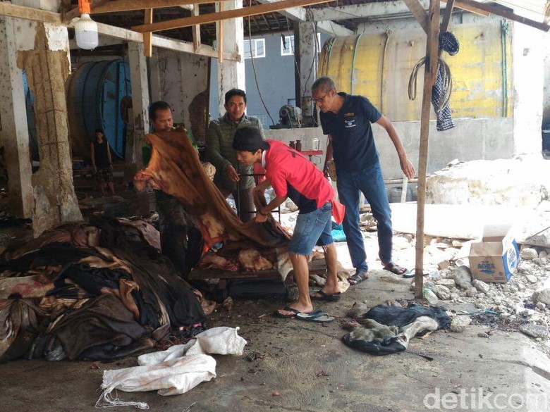 Perajin di  Sukaregang  Garut  Kebanjiran Pasokan Kulit  Hewan 