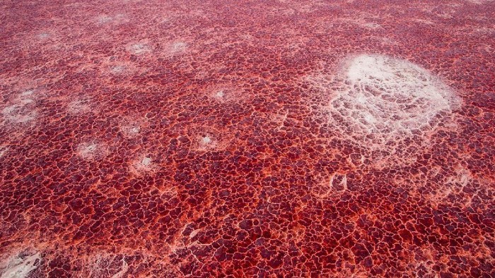 Danau Natron Tanzania danau