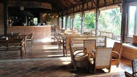 Di Paddy City Resort tidak hanya bisa menginap, tapi juga mampir ke restorannya untuk menikmati makanan enak. Pemandangan hijau yang cantik semakin menambah keasrian tempat ini. Foto: Istimewa