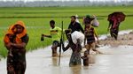 Perjuangan Warga Rohingya Menyelamatkan Diri ke Bangladesh