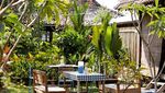 7 Restoran dengan Pemandangan Sawah yang Indah Ini Wajib Anda Datangi!
