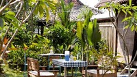 Di kawasan Pakem, tepatnya di Jalan Kaliurang KM. 16, Yogyakarta ada Warung Kopi Klotok yang wajib dicoba. Anda bisa mengambil masakannya sendiri secara prasmanan. Tidak hanya hamparan sawah, rumah makannyapun mirip seperti rumah kampung jaman dulu. Foto: Istimewa
