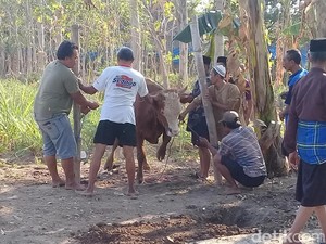 Dishub Bekasi akan Buat Edaran soal Penjualan Hewan Kurban