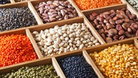 Mengeringkan legume (biji-bijian) bisa meningkatkan konsentrasi gula dan mengurangi kandungan air. Ini membuat sulit bagi bakteria dan kapang tumbuh. Begitu juga enzim yang akan memecah mereka setelah panen akan tertangguhkan. kalau disimpan dalam wadah kedap udara, legume bisa tahan bertahun-tahun. Kalau ada air masuk, hanya tahan beberapa bulan. Foto: iStock