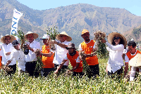 BNI Beri KUR pada Petani Bawang di Sembalun