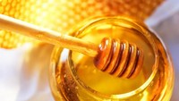 Madu rendah kandungan air dan tinggi gula. Sehingga bakteri tidak bisa tumbuh di dalamnya. Madu juga mengandung sedikit hydrogen peroxide yang menghalangi mikroba. Pada tahun 2015, arkeolog menemukan madu berusia 3.000 tahun ketika menggali kuburan di Mesir dan masih bisa dikonsumsi. Foto: iStock