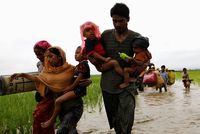 Kondisi pengungsi Rohingya / 