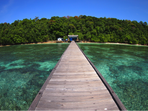 Kepulauan Derawan Sukses Buat Pelayar Internasional Terkagum