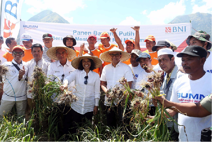 BNI Beri KUR pada Petani Bawang di Sembalun