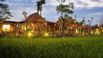 7 Restoran dengan Pemandangan Sawah yang Indah Ini Wajib Anda Datangi!