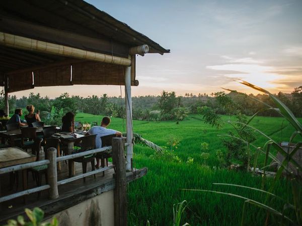 7 Restoran dengan Pemandangan Sawah yang Indah Ini Wajib Anda Datangi!