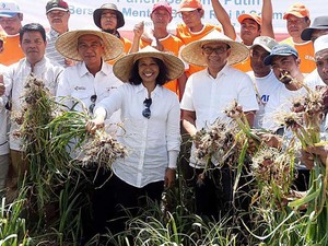 BNI Beri KUR pada Petani Bawang di Sembalun