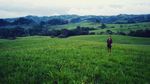Foto: Sumba, Kampung Halaman Kedua Hamish Daud