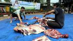Menpora Imam Nahrawi Sembelih Hewan Kurban