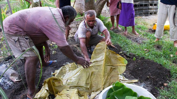 Seperti tradisi Suku Dani di Papua, suku adat Fiji juga punya tradisi bakar batu dengan menggunakan batu yang dipanaskan di bawah tanah. Namanya adalah tradisi makan Lovo (Diane Selkirk/BBC)