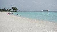Berbagai aktivitas water sport tersedia di Club Med Finolhu Maldives. Banyak juga pasangan yang sedang berbulan madu main water sport di sana, seperti yang satu ini main paddle board (Afif Farhan/detikTravel)