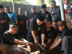 Idul Adha, PKS Berkurban 10 Ribu Sapi dan 60 Ribu Kambing