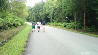 Jogging jadi olahraga pilihan yang terbilang praktis namun favorit. Begitu pula di Club Med Bintan, G.O Runner atau berlari bersama para G.O pun jadi aktivitas yang favorit (Bonauli/detikTravel)