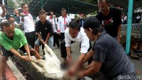 Imam Nahrawi menyembelih hewan kurban.