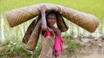 Tatapan Kosong Anak Rohingya