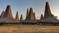 Yang pertama, ada Ratenggaro merupakan kampung adat yang masuk dalam wilayah Desa Ratenggaro, Sumba Barat Daya. Traveler bisa melihat rumah adat yang unik dengan atap menjulang tinggi. Ada pula kuburan batu peninggalan Zaman Megalitikum (Thinkstock)