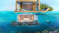 Pemandangan bawah lautnya juga sanggup membuat pemilik rumah terkagum-kagum. Istimewa/businessinsider.
