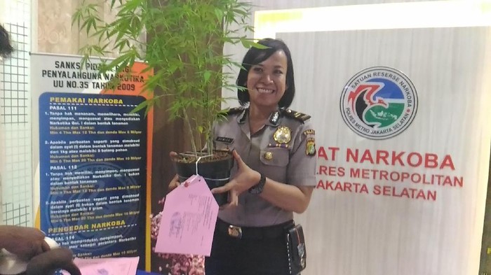 Tanam Ganja di Atap Rumah, Kevin Ditangkap