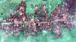 Potret Rumah-rumah Warga Rohingya yang Hangus Dibakar