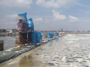 Petani Senang, Harga Garam Masih Tinggi