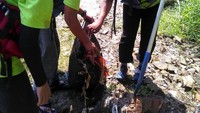 Para peserta membersihkan sampah di sungai Ciliwung. (KLHK).
