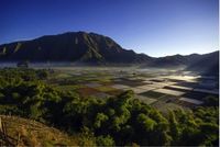 Sembalun, Lombok, Nusa Tenggara Barat (Foto: Shutterstock)