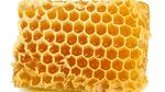 Kalau 10 Gambar Ini Bikin Merinding, Kemungkinan Kamu Punya Trypophobia