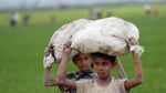 Tatapan Kosong Anak Rohingya