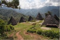 Desa Wae Rebo, Flores, Nusa Tenggara Timur (Foto: Shutterstock)