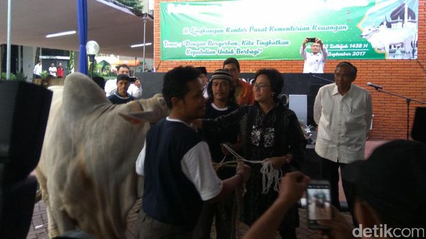 Sri Mulyani Berkurban Sapi Brahman Seberat 780 Kg.
