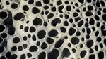 Kalau 10 Gambar Ini Bikin Merinding, Kemungkinan Kamu Punya Trypophobia