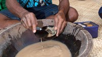 Tamu yang datang ke desa adat Fiji pun akan diajak untuk menikmati grog, sebuah campuran akar Kava yang dipadukan dengan air (Diane Selkirk/BBC)