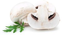 Seperti bentuknya, jamur ini disebut ‘white button mushroom’ karena bentuknya persis kancing baju. Jamur paling populer yang terkenal empuk.Foto: Istimewa
