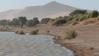 Skeleton Coast Namibia adalah salah satu tempat berselancar paling garang dan tidak ramah dunia. Namun, debur ombak pantainya mulai populer dalam beberapa tahun terakhir dan akhirnya mendorong Namibia Surfing Association untuk membatasi akses ke sana (Dok. CNN Travel)