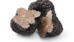 Empuk Juicy Seperti Daging, Ini 10 Jamur Paling Enak di Dunia
