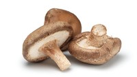 Jamur paling populer di Jepang ini punya payung jamur yang lebar berwarna cokelat. Jamur shiitake selalu dipakai dalam banyak masakan Jepang.Foto: Istimewa