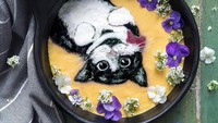 Miaw, kucing berwarna putih dan hitam ini terlihat sangat manis. Sepertinya smoothies bowl ini lebih cocok dijadikan pajangan ketimbang untuk sarapan saat berdiet. Foto: Hazel Zakaryia