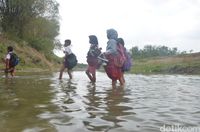 Kisah Siswa SD di Cirebon Rela Menerobos Sungai Demi Sekolah