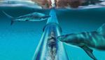 Foto : 7 Waterpark Paling Seru di Dunia