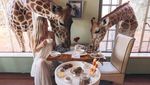 Foto: Traveler Cantik dan Seksi yang Dibayar Buat Traveling