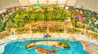 Untuk dapat menikmati berbagai fasilitasnya, harga yang ditawarkan mulai 33 Euro atau setara dengan Rp 520 ribu, tergantung jenis tiket dan fasilitas yang dipilih (Tropical Islands)