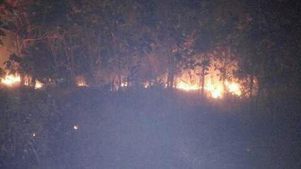 Kebakaran yang terjadi di Gunung Guntur Garut