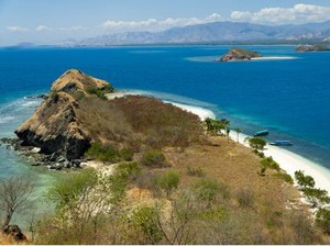 Ngada Tawarkan Wisata Menarik ke Peserta Wonderful Sail 2 Indonesia