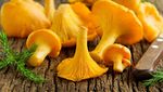Empuk Juicy Seperti Daging, Ini 10 Jamur Paling Enak di Dunia